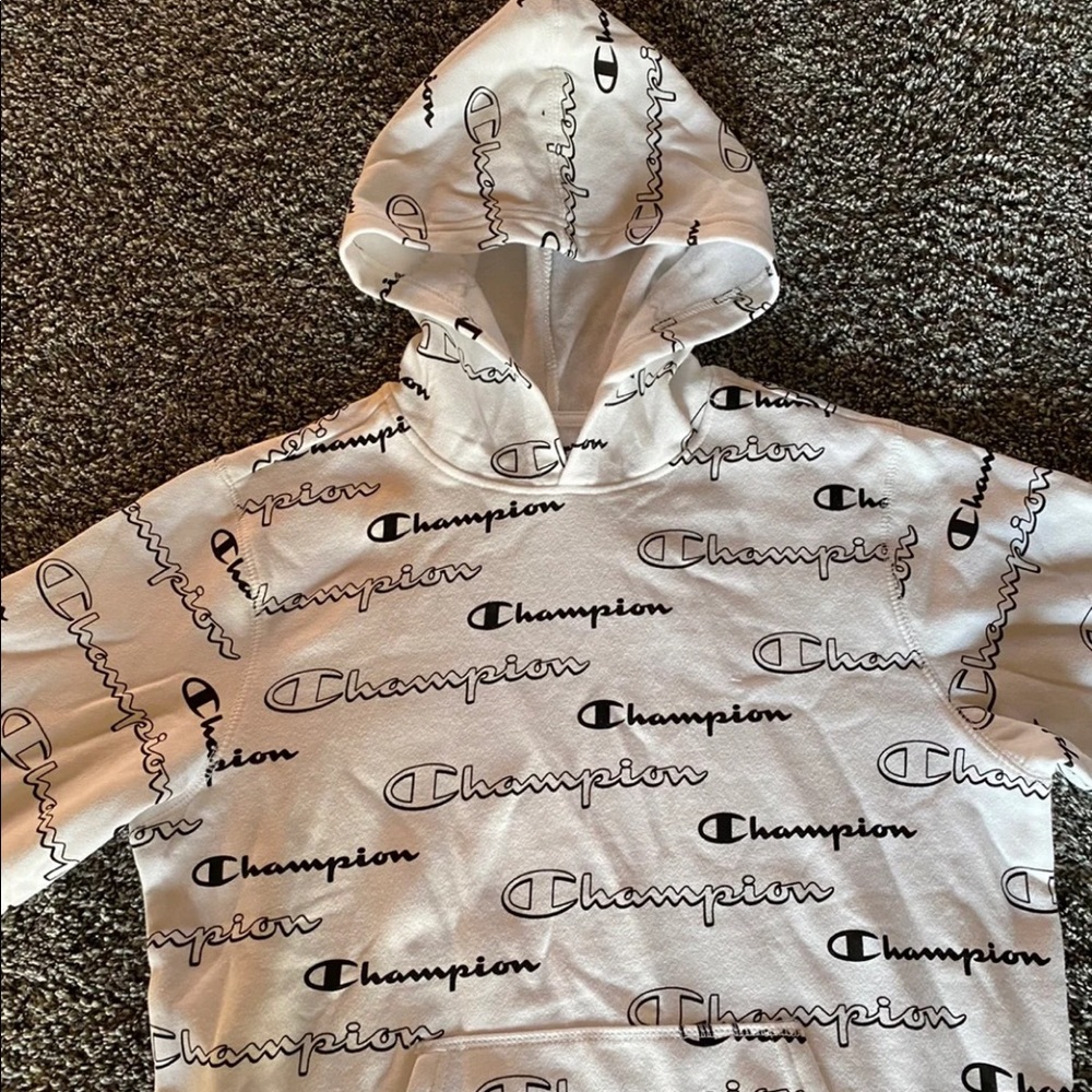 Champion hooded sweatshirt